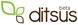 ditsus.com