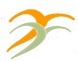 MediMind