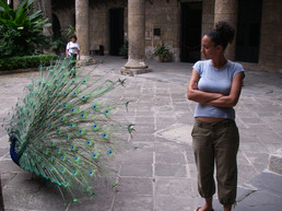 Jacqueline  Fabius