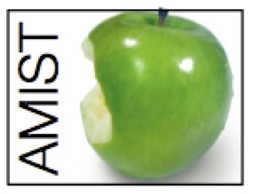 AMIST
