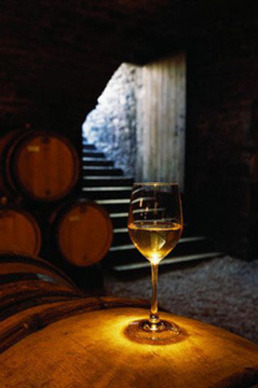 Napa WineGuy