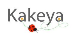 Kakeya