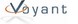 Voyant International Corporation