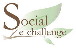 Social e-challenge Competition 2009 [inactive]