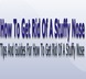 Melvin Kurt