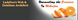 LadyDee's Web & Database Architect