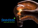 feedZai