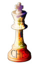 CHES, Inc. (Christian Haitian Entrepreneurial Society, Inc.)