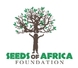 Seeds of Africa