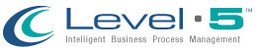 Level 5