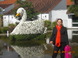 Learning disabilities solutions