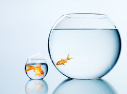 Linkgroup Consultants