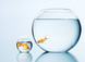 Linkgroup Consultants