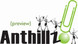Anthillz