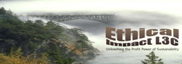 Ethical Impact L3C