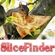 SliceFinder.com
