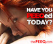 thePEEQ
