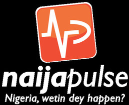 NaijaPulse