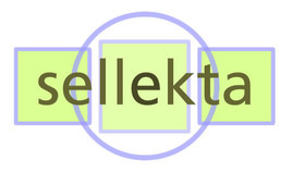 Sellekta