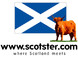 Scotster