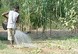 SEED (Small Engines for Economic Development)
